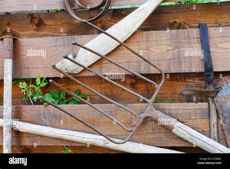 Vieux outils de jardin en bois et en métal