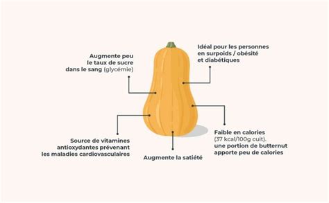 infographie des bienfaits nutritionnels de la courge butternut