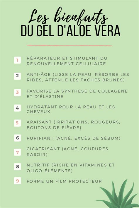 Infographie sur les produits dérivés de l'Aloe Vera