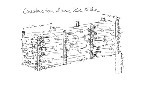 Illustration d'une haie d'Hermann Benjes en cours de constitution