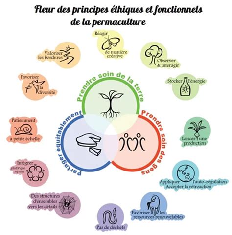 Schéma des principes éthiques de la permaculture
