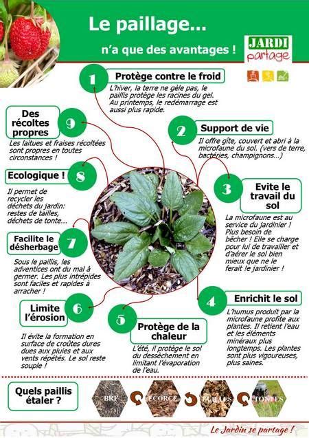 Infographie illustrant les bienfaits du paillage