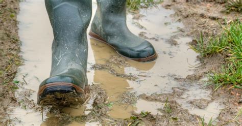 Bottes en néoprène dans un jardin boueux