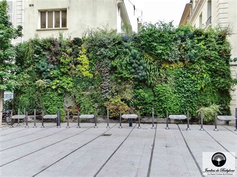 Schéma d'un mur végétalisé avec des plantes grimpantes sur des câbles métalliques