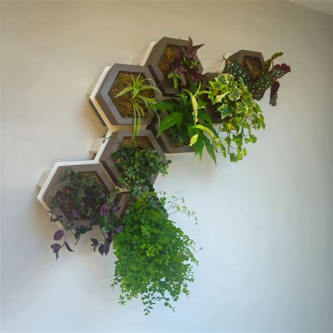 installation de plantes dans une jardinière murale design