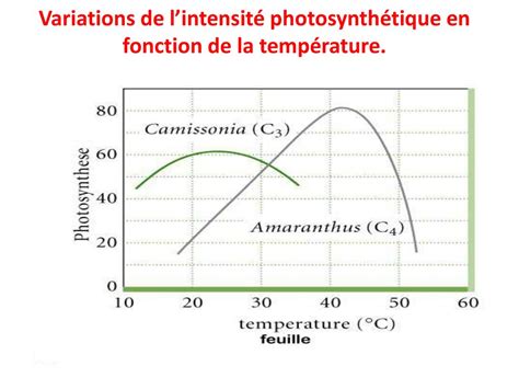 Graphique montrant la relation entre l'intensité du froid hivernal et la concentration en sucres des poireaux