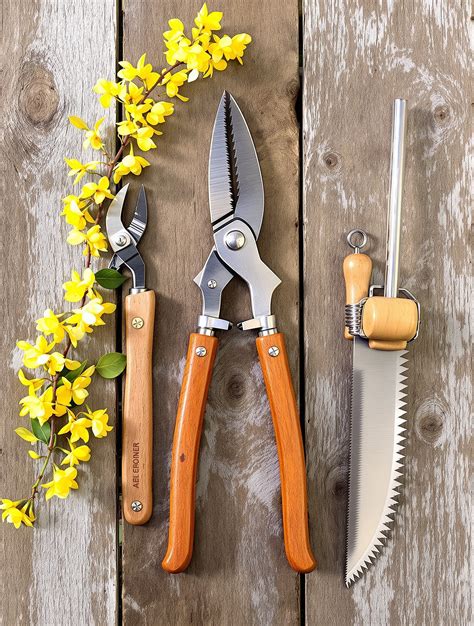 Illustration des outils nécessaires : sécateur, coupe-branche et scie d'élagage