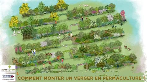 Schéma illustrant le design d'un verger en permaculture
