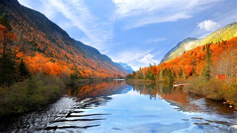 forêt québécoise en automne