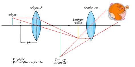Schéma illustrant l'agrandissement optique d'une pièce via un miroir