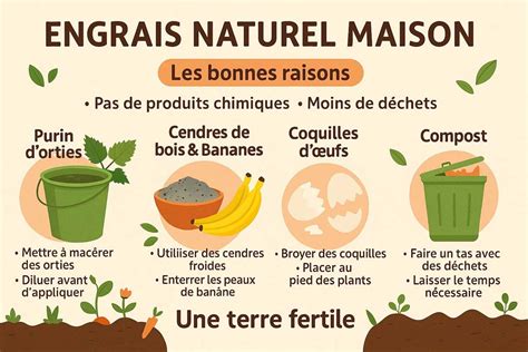 Infographie comparant les fréquences d'arrosage avec engrais pour les plantes en pot versus les plantes en pleine terre.