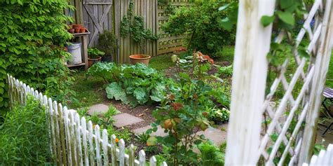 jardin potager et ornemental