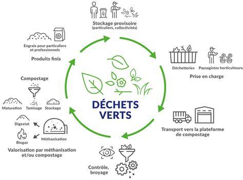 Schéma illustrant le cycle de vie des déchets verts : du jardin à la déchetterie ou au compostage