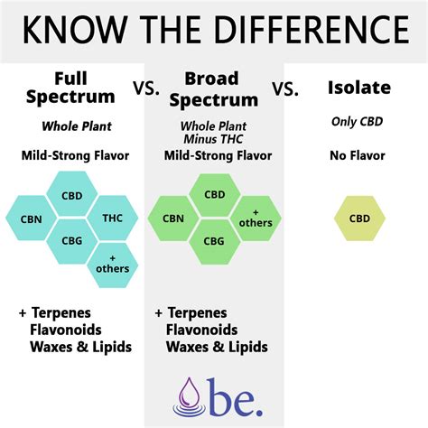 Infographie comparant les différents types d'extractions de CBD (Full Spectrum, Broad Spectrum, Isolat)