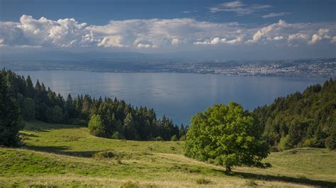 Paysage verdoyant du Chablais avec vue sur les Alpes et le lac Léman
