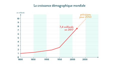 Schéma montrant l'évolution de la croissance du prunier sur 7 ans