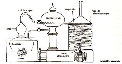 Schéma technique d'un alambic de 3 litres avec son chapiteau et son refroidisseur