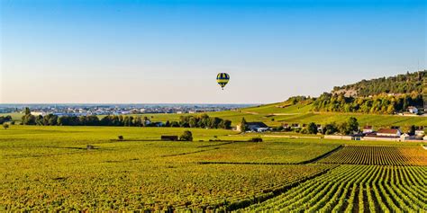 Photographie des vignes à Auxey-Duresses