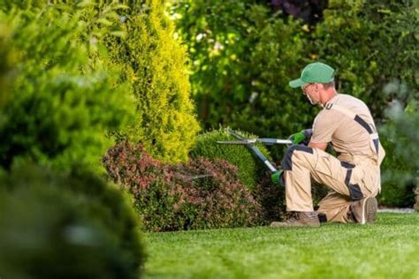 Illustration d'un jardin entretenu avec soin par un professionnel