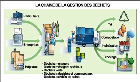 Schéma montrant les étapes d'arrachage manuel et de gestion des déchets pour l'alliaire officinale