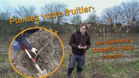 Planter un arbre fruitier