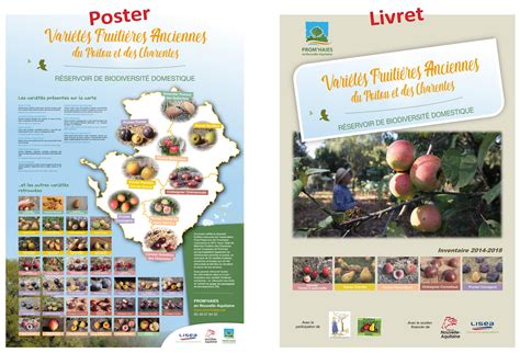 Schéma de classification des variétés fruitières anciennes et modernes