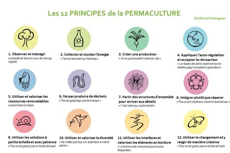 Schéma des 12 principes de la permaculture