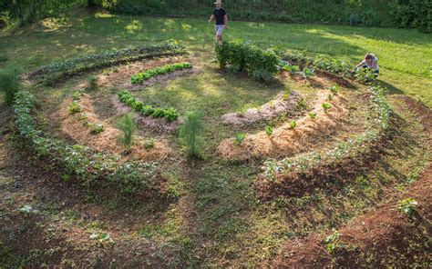 Exemple d'une butte de permaculture