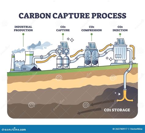 Structure du miscanthus et stockage du carbone