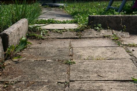 Allée pavée envahie par les mauvaises herbes