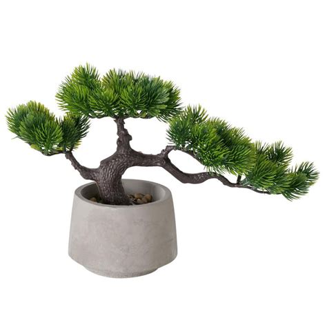 bonsaï avec pot gris anthracite