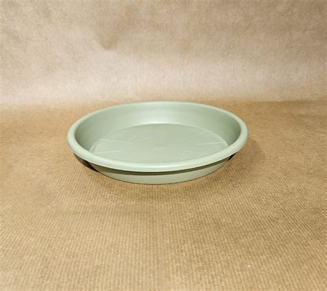 soucoupe sous un pot de bonsaï