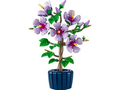 La collection LEGO Botanicals