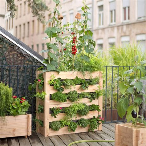 Illustration d'un potager urbain avec des plants de tomates tuteurés sur un balcon