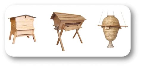 Une ruche traditionnelle dans un environnement naturel préservé
