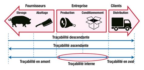 Schéma explicatif de la traçabilité de la ruche au flacon
