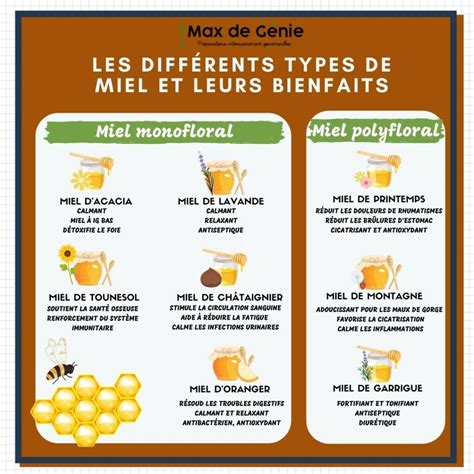 Infographie sur les différents types de miels et leurs spécificités