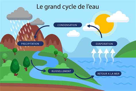 Schéma explicatif du cycle de l'eau et des zones de captage en Isère