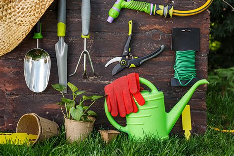 Plan de travail avec outils de jardinage et jeunes boutures d'origan en préparation