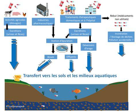 Schéma de diffusion des polluants dans les écosystèmes locaux (sols, eau, chaîne alimentaire)
