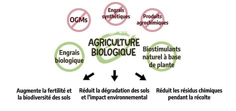Schéma des principes de l'agriculture biologique