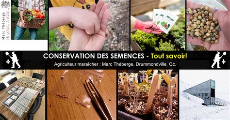 Conseils pour la conservation des semences