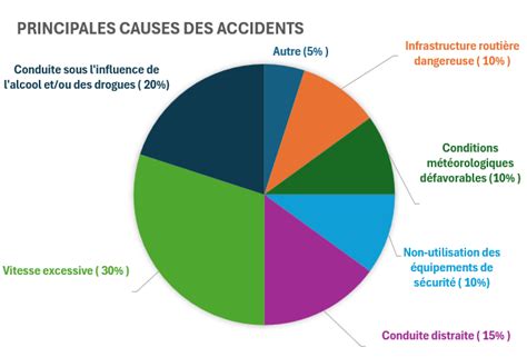 Infographie sur les causes d'accidents en escalade