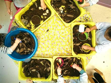 Atelier enfant : manipulation de terre et création de mini-jardins