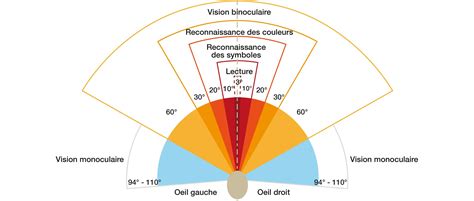 Schéma illustrant le champ de vision à 360° d'une caméra fisheye installée au plafond