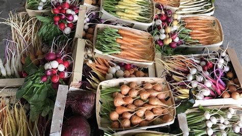 maraîchers proposant des paniers de légumes bios