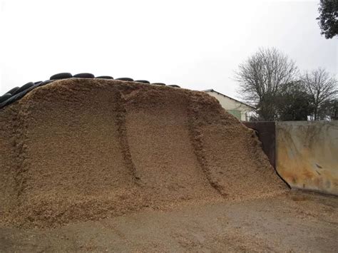 schéma d'un silo de maïs ensilage