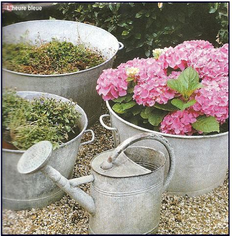 Hortensia en fleurs dans une bassine en zinc sur une terrasse