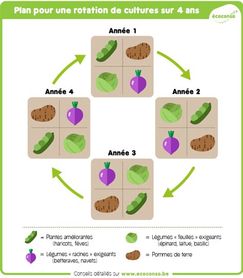 Diagramme illustrant le principe de rotation des cultures