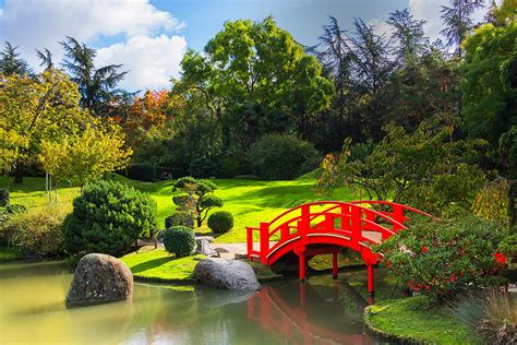 Vue d'ensemble du jardin japonais Gaia Garden Bonsaï à Villexavier